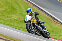 PJ-Motorsport-Photography-2020;anglesey;brands-hatch;cadwell-park;croft;donington-park;enduro-digital-images;event-digital-images;eventdigitalimages;mallory;no-limits;oulton-park;peter-wileman-photography;racing-digital-images;silverstone;snetterton;trackday-digital-images;trackday-photos;vmcc-banbury-run;welsh-2-day-enduro